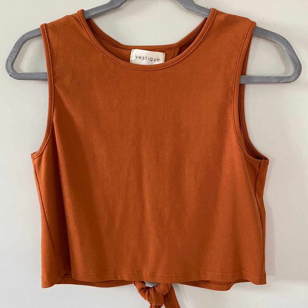 Burnt Orange Crop Top